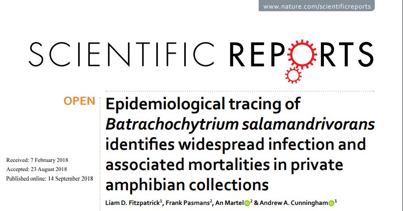 New publication on Bsal in European private amphibian trade