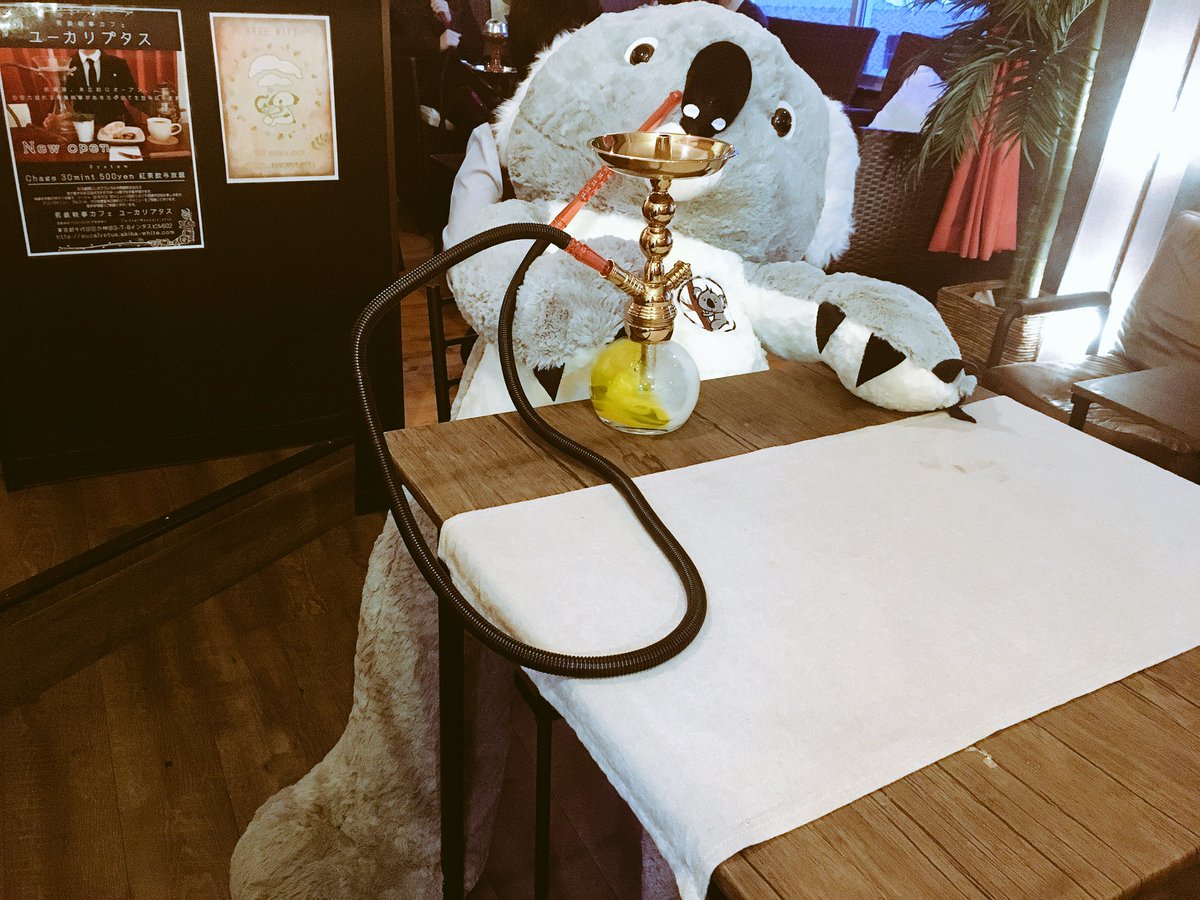 男装執事喫茶ユーカリプタス Eucaly Puts Twitter