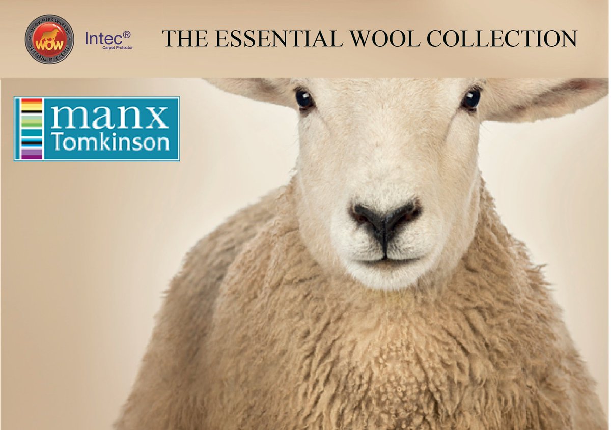 Manx Tomkinson on Twitter "WOW can last the lifetime of a carpet. All