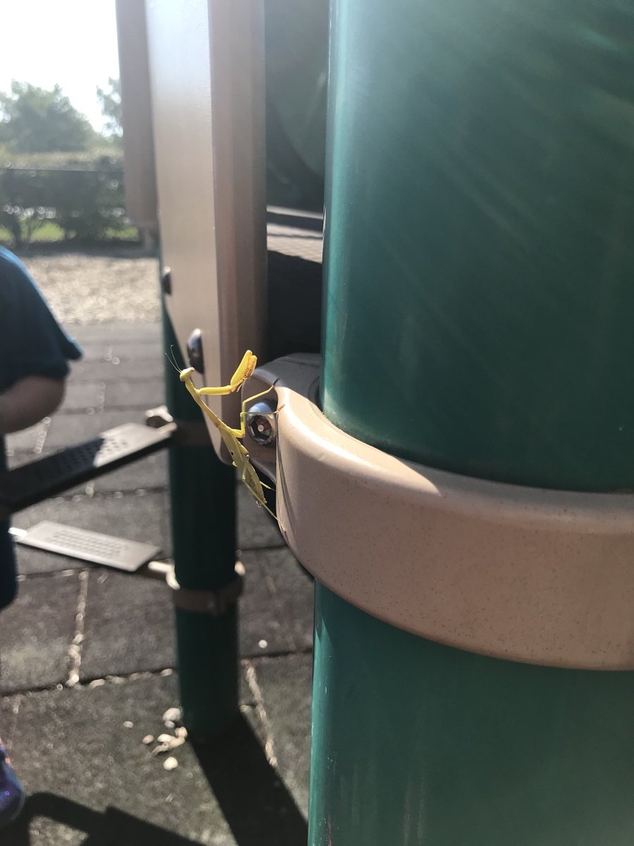 Look who joined first graders at recess! <a href="/myccs/">myccs</a> <a href="/TowneMeadow/">Towne Meadow</a>