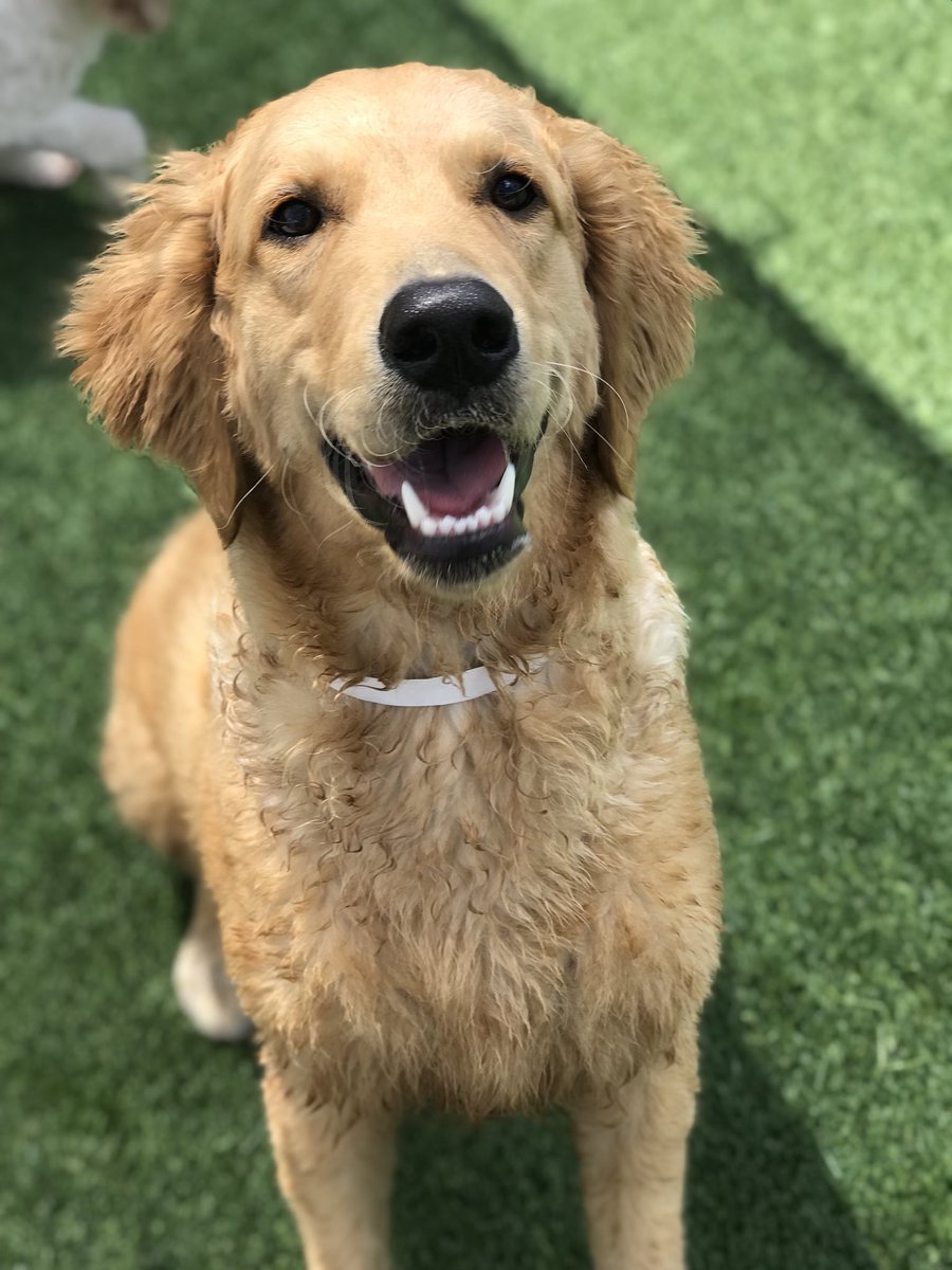 PPRUniversity's tweet image. These faces never get old!