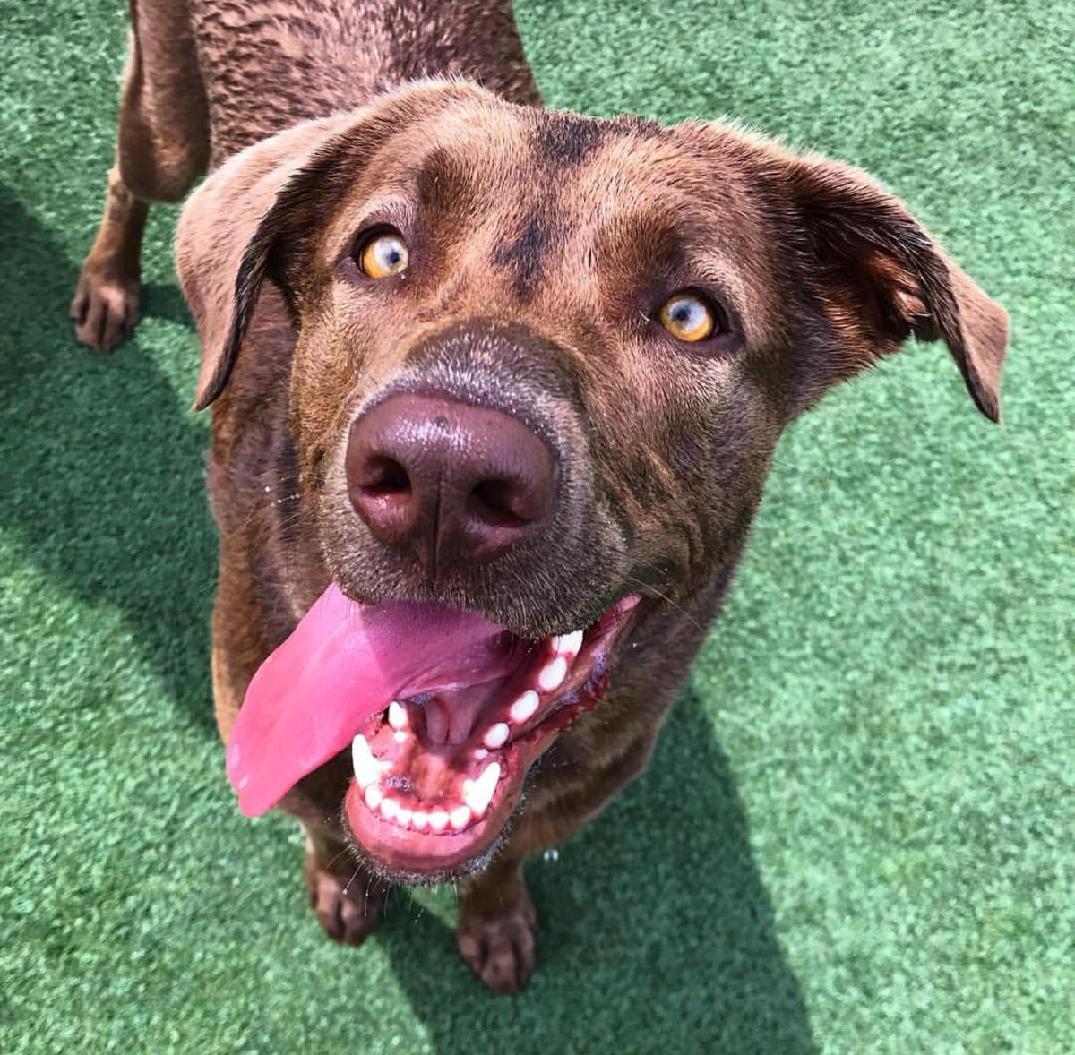 PPRUniversity's tweet image. These faces never get old!