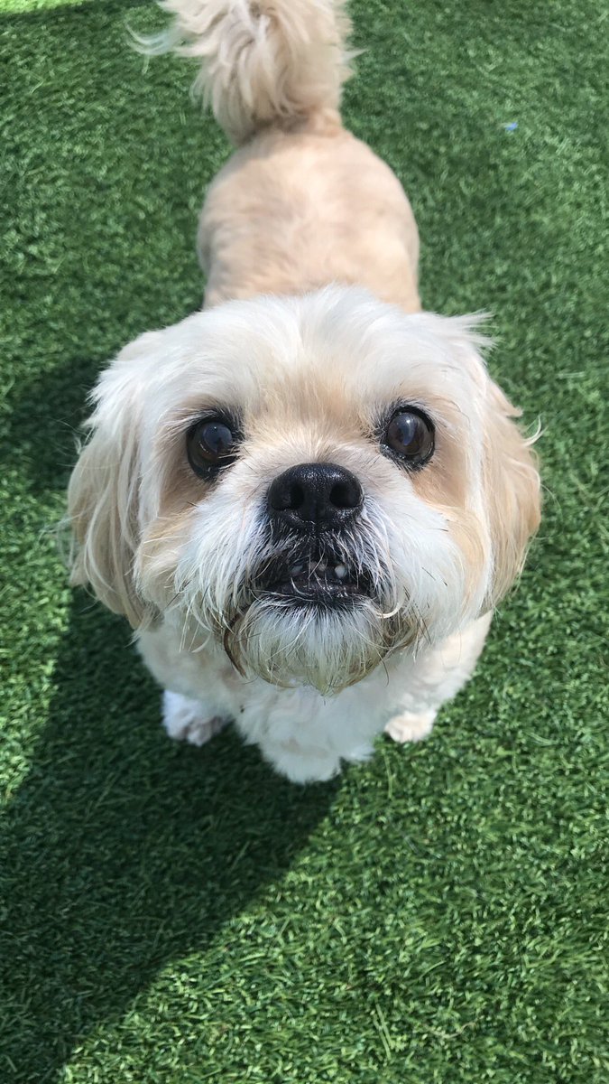 PPRUniversity's tweet image. These faces never get old!