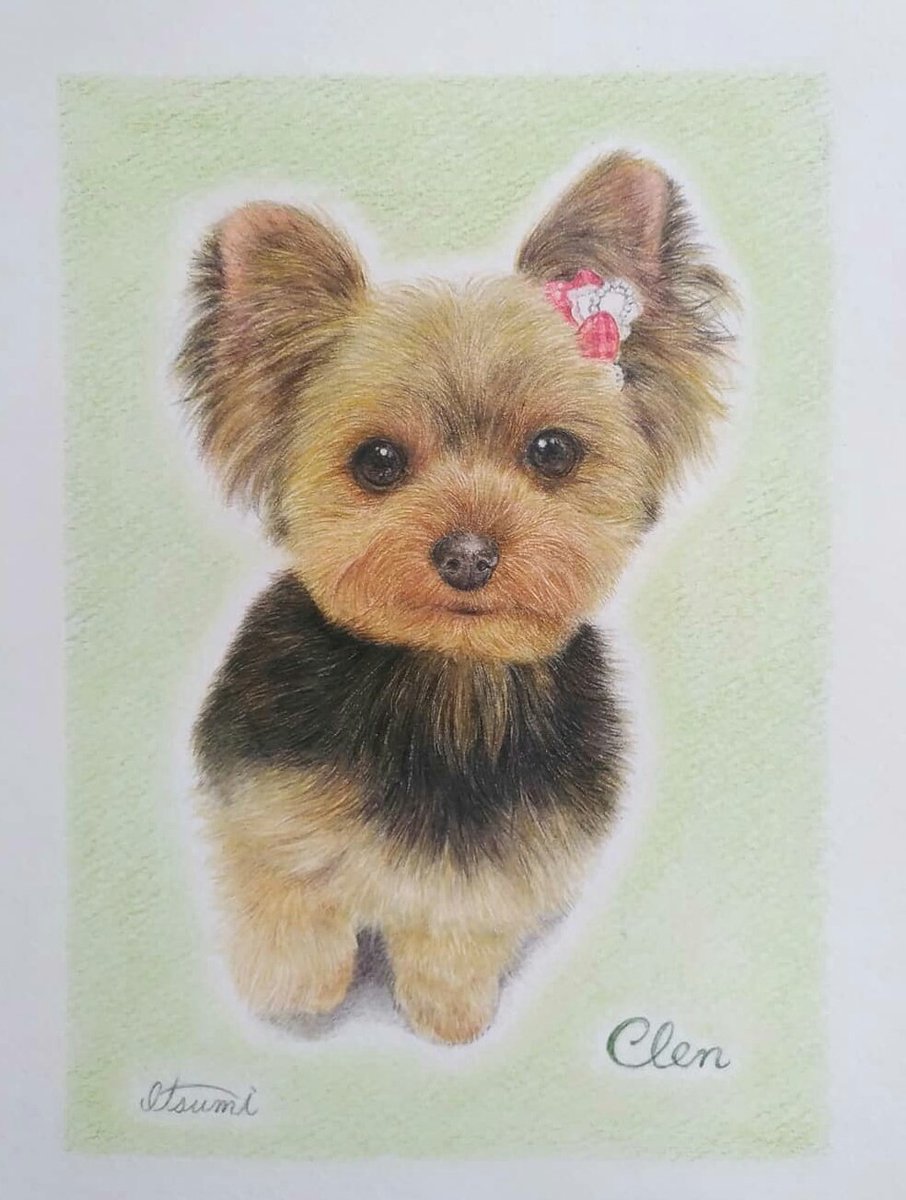 川西いつみ ヨークシャー テリア のクレンちゃんを描かせていただきました 前足をちょこんとあげるのがお決まりのポーズらしいです 可愛すぎる お菓子あげたくなります ご依頼有難うございました hp T Co Eojf3vyxqh 色鉛筆画 犬 川西いつみ ヨークシャー テリア のクレンちゃんを描かせていただきました 前足をちょこんとあげるのがお決まりのポーズらしいです 可愛すぎる お菓子あげたくなります ご依頼有難うございました hp T Co Eojf3vyxqh 色鉛筆画 犬