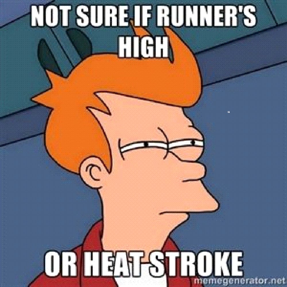 WeAreFitnessPro's tweet photo. Why run outside in the Florida heat when you can buy a treadmill and run inside?  🔥🏃‍ 

Click here to see our selection of residential treadmills: https://t.co/6UszLdFUWa 

#toohotforthat #runninglife #personalfitness #indoorgyms  #residentialgyms #tallahasseegyms https://t.co/fyHaP7ooAB