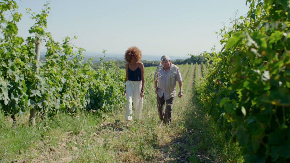 Rendez - vous Lundi 17 septembre à 20h45 sur @France3tv pour découvrir la nouvelle saison de #1M1V sur le vignoble du #Languedoc ! => goo.gl/HTDoyx <a href="/vinetsociete/">Vin & Société</a>  <a href="/VinsAOPFaugeres/">Cru Faugères</a> <a href="/TigaForReveurs/">Tiga</a> @F3Languedoc #WineMorning