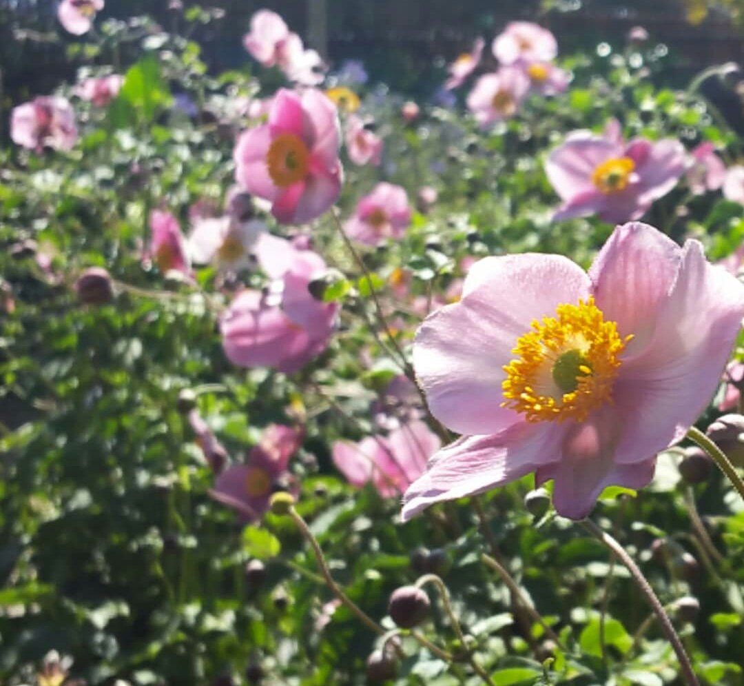 The weekend's on its way!  #Fridayfeeling