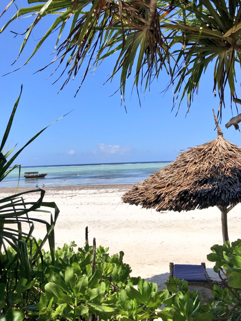 KelliClifton's tweet image. I am *that* person that gets more excited about your good news, than you. Be happy for others when great things happen to them — life’s too short to be a bitter bitch. K bye 🌴🌴🌴