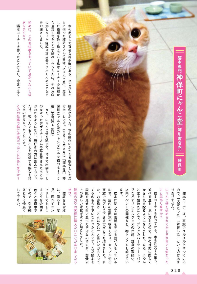 ねこねこ横丁編集部 Auf Twitter 少しずつ秋らしくなってきました 普段と少し違う東京 猫 観光をしませんか 魅力的な看板猫さんを集めた 東京かんばん猫 では漫画と写真で多数収録 ねことじいちゃん まめねこ のねこまき先生の絵がメチャ可愛いのです ねこねこ横丁編集部 Auf Twitter 少しずつ秋らしくなってきました 普段と少し違う東京 猫 観光をしませんか 魅力的な看板猫さんを集めた 東京かんばん猫 では漫画と写真で多数収録 ねことじいちゃん まめねこ のねこまき先生の絵がメチャ可愛いのです