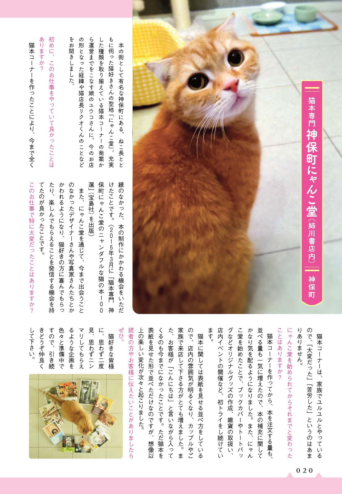 ねこねこ横丁編集部 Auf Twitter 少しずつ秋らしくなってきました 普段と少し違う東京 猫 観光をしませんか 魅力的な看板猫さんを集めた 東京かんばん猫 では漫画と写真で多数収録 ねことじいちゃん まめねこ のねこまき先生の絵がメチャ可愛いのです ねこねこ横丁編集部 Auf Twitter 少しずつ秋らしくなってきました 普段と少し違う東京 猫 観光をしませんか 魅力的な看板猫さんを集めた 東京かんばん猫 では漫画と写真で多数収録 ねことじいちゃん まめねこ のねこまき先生の絵がメチャ可愛いのです