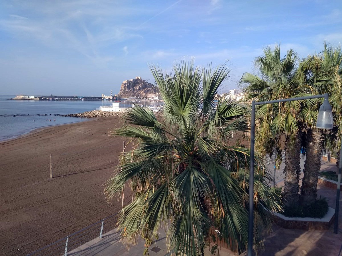 aguilasparques's tweet photo. Podando palmeras ✂️🌴 en la Cigarrilla y contemplando la suerte 😍👩🏻🌾, la inmensa suerte ☺️de vivir en este paraíso natural 🌸💐🍄🌺que se llama Águilas. #mejorando #stvgestion #cuidando #zonasverdes #coloryvida #vida #Aguilas https://t.co/8hCH0uambj