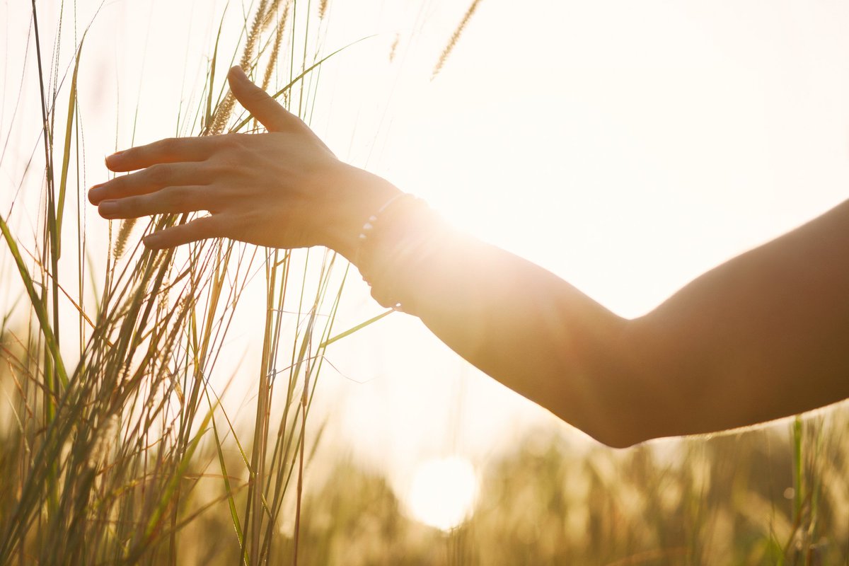 join_evolution's tweet image. Blaire Lindsay (@shaktiglow) is here Oct 12 &amp;amp; 13! The Yoga for the Feminine Workshops will explore how our embodied practices can include a feminine perspective that compels greater self-understanding and self-compassion for those who identify as womxn: bit.ly/YogafortheFemi…