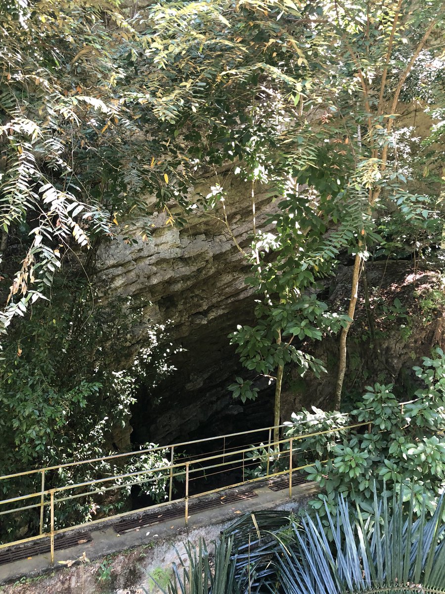 Rovinzgc04's tweet photo. Last weekend was truly a holiday I deserved. Taking another splurge soon. #yolo #naturelover #green #gogreen #vacationbelike #falls #cave #milkstation #spring #poolofpeople https://t.co/IyRfxLC0QV