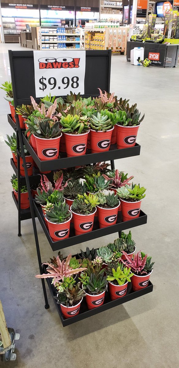 pauld_PBF's tweet photo. Good Morning - Happy Cactus Friday !!! ChaChaCha
@pbfmedia @freddyplants @JohnTuten2 @anavarro52069 
#CactusFriday #NewItems #GoDawgs #ThinkFall #ChaChaCha https://t.co/pIhBg0VAZy