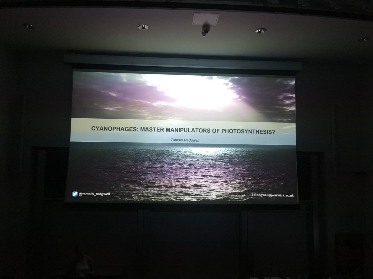 AGrigonyte's tweet photo. Awesome talk by @tamsin_redgwell on cyanohages at #warwickm4 https://t.co/sRpaiL2sr4