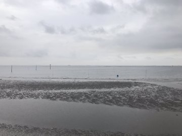 富津海岸潮干狩り19 駐車場 混雑情報 潮見表と便利グッズを確認 生活ハック 知りたい泉