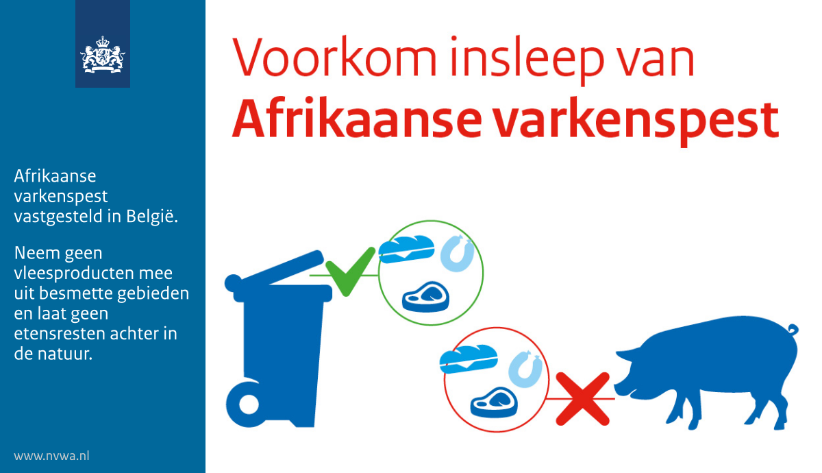 _NVWA's tweet photo. Afrikaanse Varkenspest is vastgesteld bij enkele wilde zwijnen in België. Voorkom insleep in Nederland. Neem geen vleesproducten mee uit besmette gebieden en laat geen etensresten achter in de natuur. #diergezondheid
https://t.co/7ACf2FirMS https://t.co/rhJ5Kurj2p