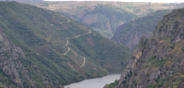 elCuartonPosada's tweet photo. 🔝El Cuartón de Inés Luna tiene a su alrededor un entorno único y envidiable.
✔️ Salamanca capital
✔️ El Campo Charro
✔️ La Sierra de Francia
✔️ Los Arribes del Duero
https://t.co/hDga0W5MPB
👉 4 motivos más para visitarnos y mejorar aún más la calidad de tu vista! https://t.co/fHJnrOvBr3