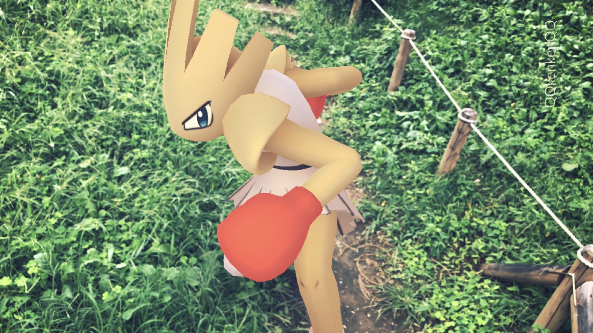 Kenken 格闘道場 きみはどっちを選ぶ エビワラー Hitmonchan サワムラー Hitmonlee 格闘道場 ヤマブキシティ かくとうタイプ Fighting Pokemongo ポケモンgo ポケモンgo写真 ポケモンgoar写真 ポケットモンスター ポケモン Pokemon