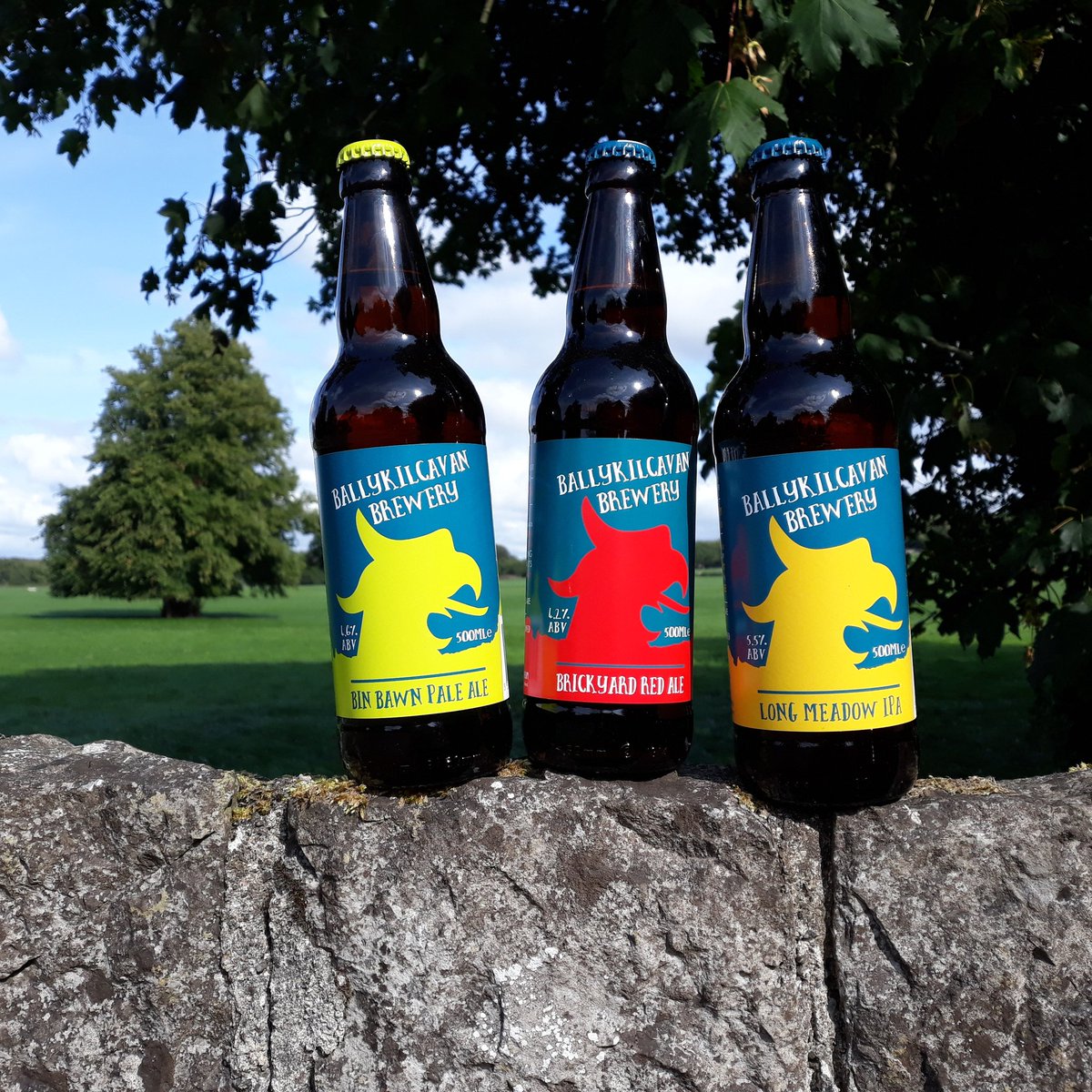 Ballykilcavan's tweet photo. If you have 90 seconds to spare, could you please fill in our 2018 customer survey at https://t.co/mPwnFgahkr? We'd be very grateful and we'll put you in a draw for one of two cases of beer and two t-shirts. https://t.co/ntcQQFVSCH