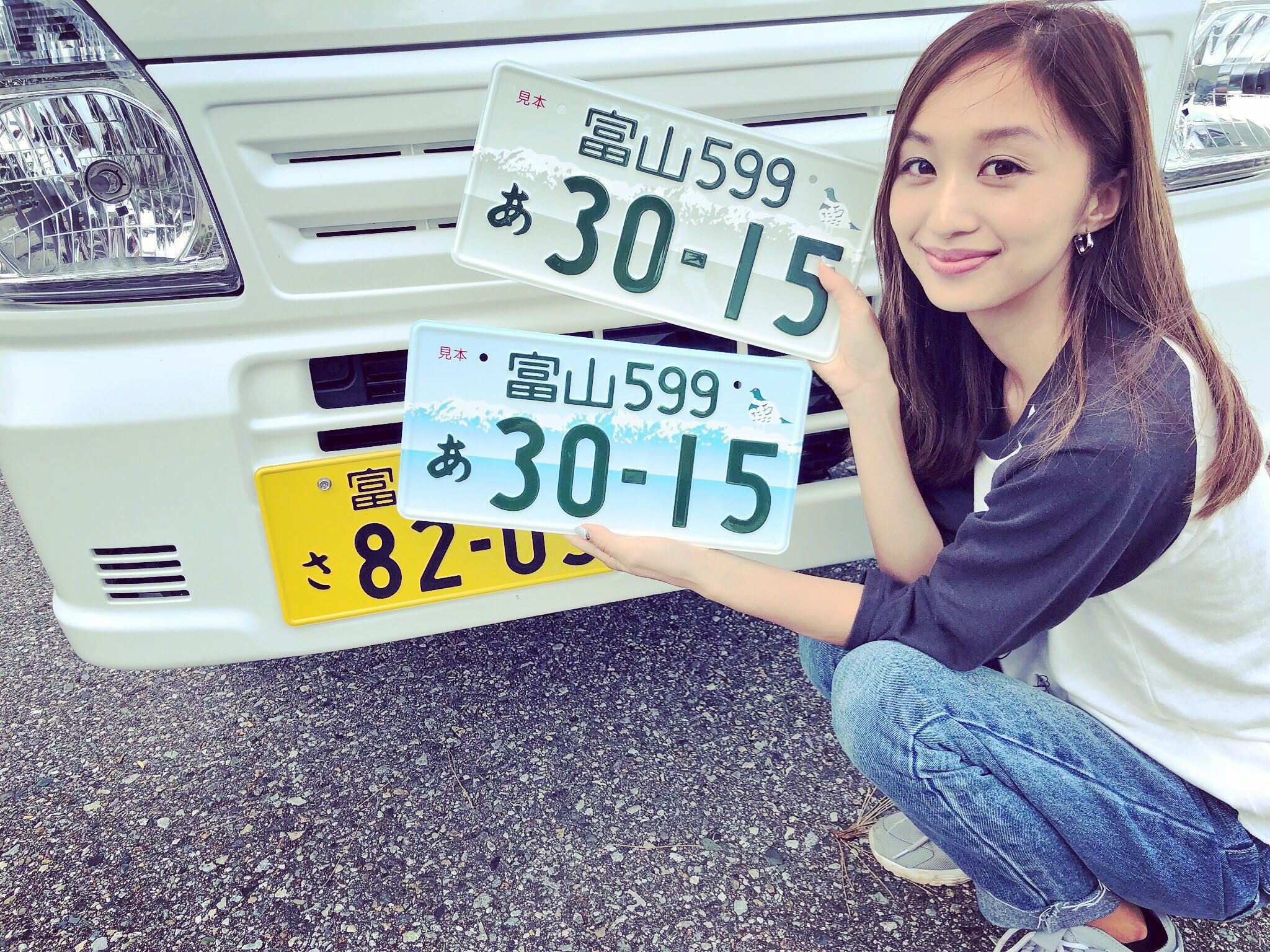 富山版図柄入りナンバープレート Twitter Search Twitter