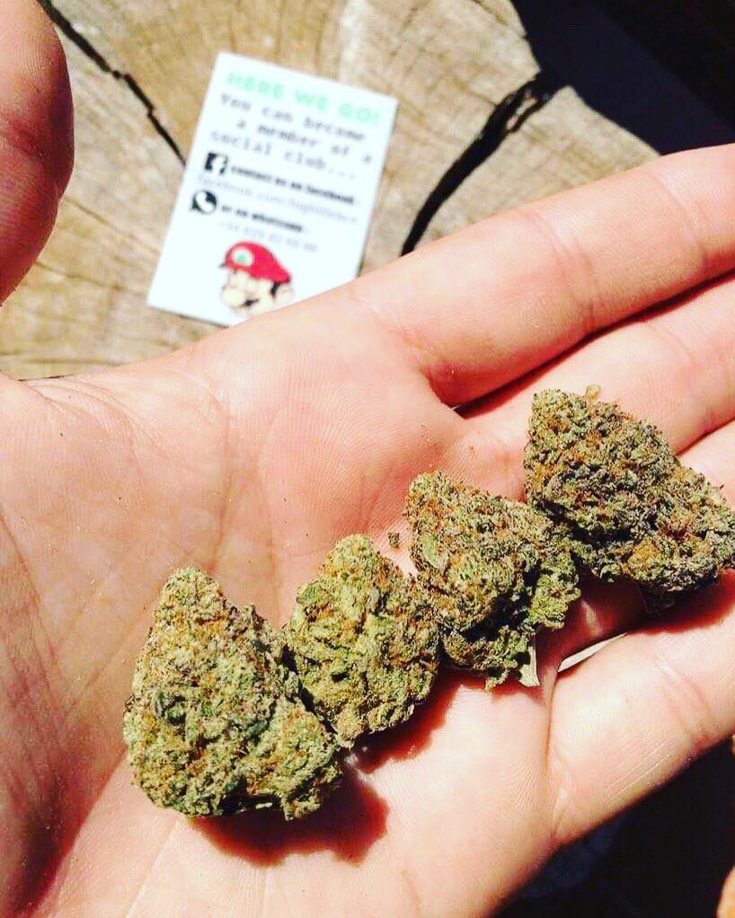 Freakys420's tweet photo. Glue Trap from captain.terps.official !!! Real Fire ! 🔥🔥🔥 Contact us to get your invitation in a friendly club ! 🇫🇷🇺🇸🇬🇧🇪🇸 #weed #smoke #canna #topshelfbud #highgradecannabis #deuwi #deuwigang #skunk #kush #haze #thc #spliff #joint #gethighaf #highetfinesherbes https://t.co/7aY71vyaPo