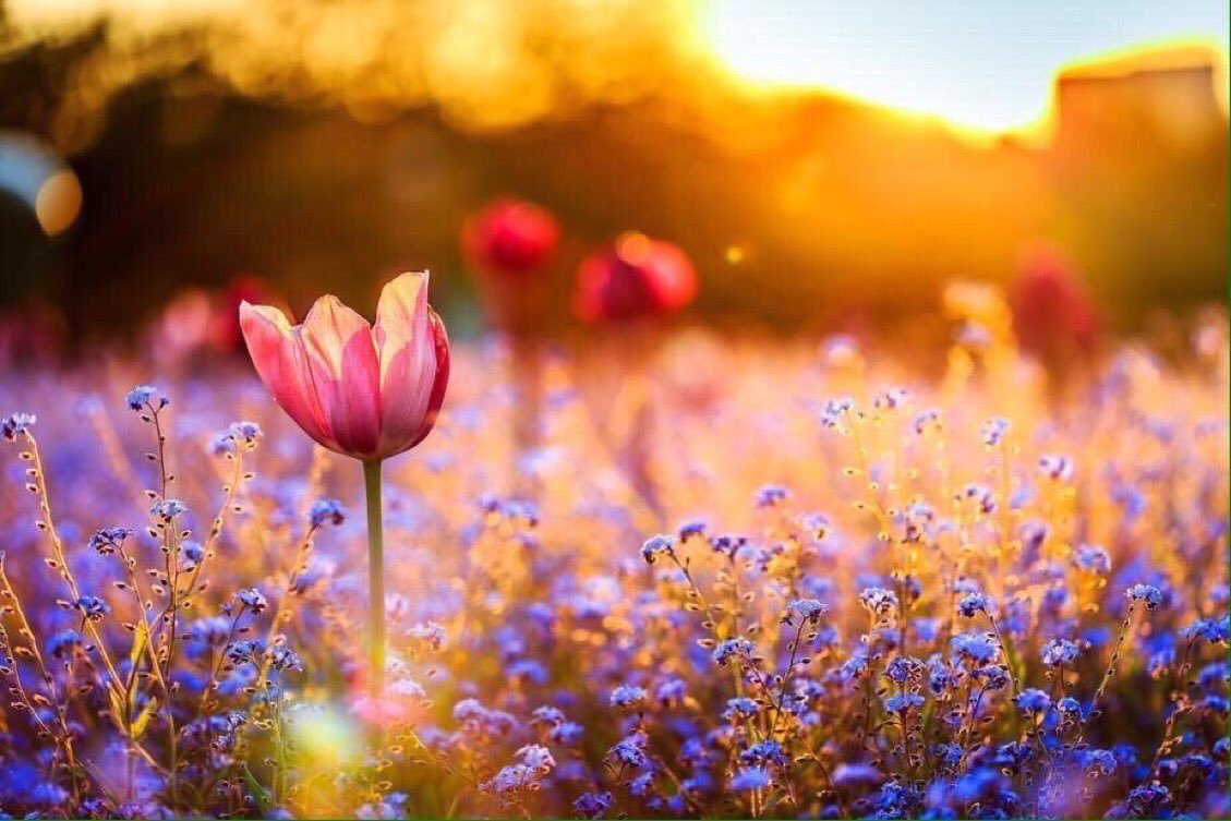 JeanetteEliz's tweet photo. Smile, It’s Friday! 😊 Happy Friday Everyone. I hope all of you have a wonderful day. Have a beautiful weekend. 💞🌺💕 https://t.co/Q9vOdAK8L7