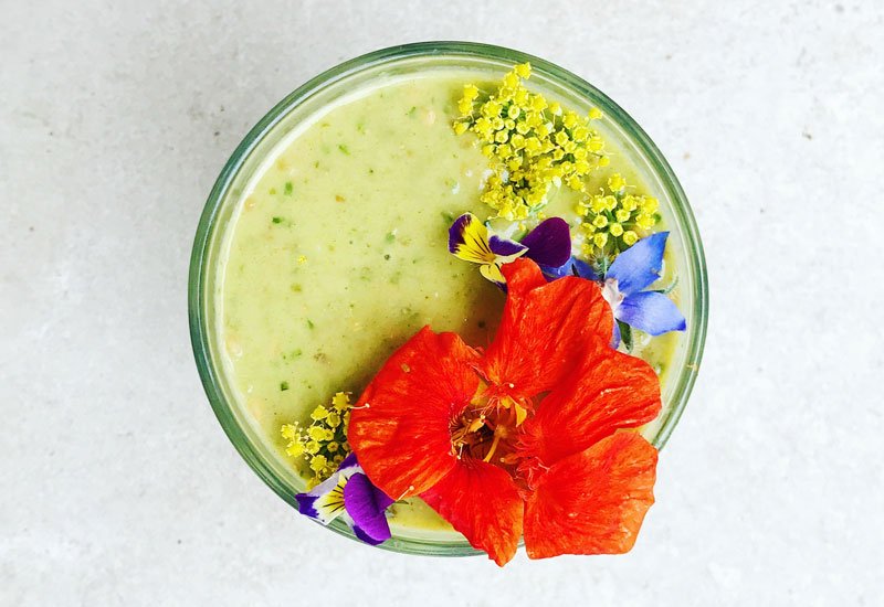 AdunaSuperfoods's tweet photo. This #moringa smoothie is just what you need to kickstart your #MondayMorning - thick, creamy & packed full of gut soothing ingredients. πΏπ #dothemoringa https://t.co/fmGMkZpmsz https://t.co/uB0KZtD4Be