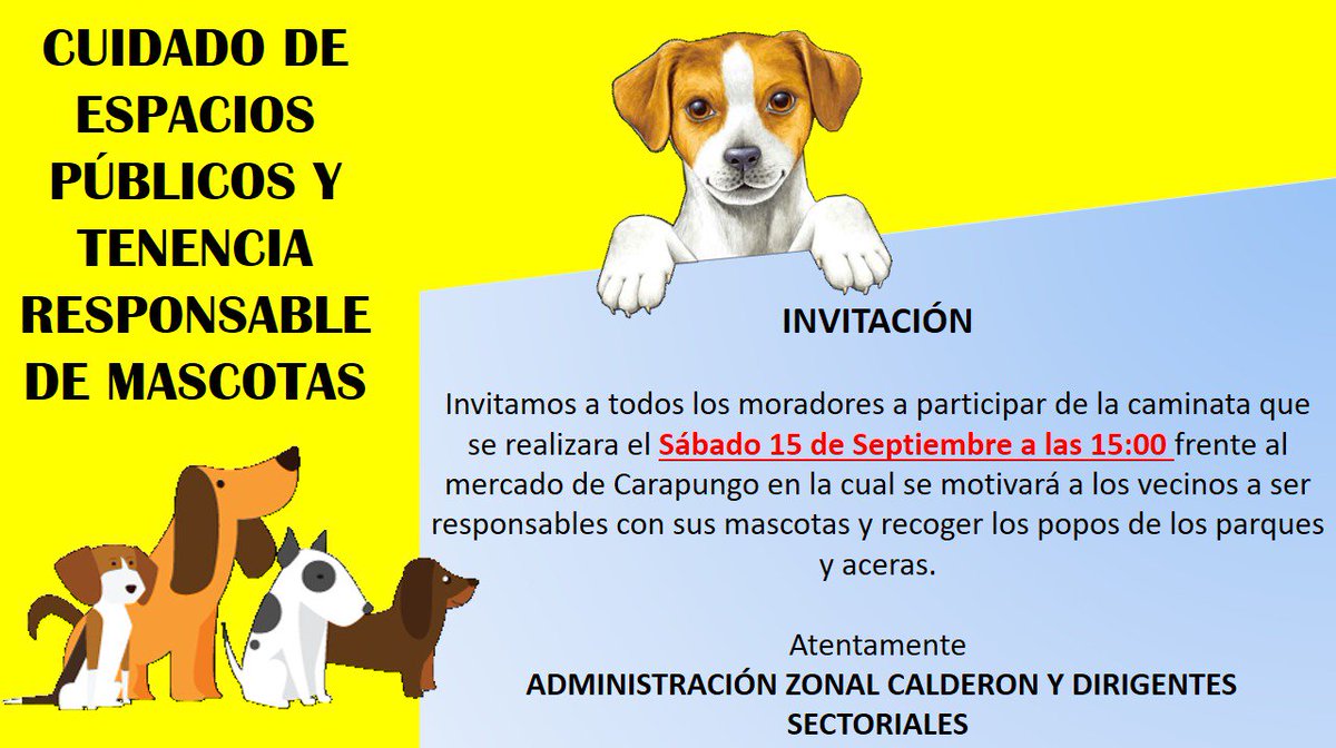 <a href="/karapungo/">karapungo</a> ,<a href="/Carapungoenacci/">Carapungo en acción</a> ,<a href="/MunicipioQuito/">Municipio de Quito</a> ,<a href="/AVAstudillo/">Alberto Astudillo B.</a> ,<a href="/TVCLaComunidad/">TVCLaComunidad</a> ,<a href="/juankcanal1274/">Juan Carlos Correa</a> ,<a href="/CanalUnoTv/">Canal Uno Tv</a> ,<a href="/el_telegrafo/">El Telégrafo Ecuador</a> ,<a href="/radiocanela/">Radio Canela</a> ,