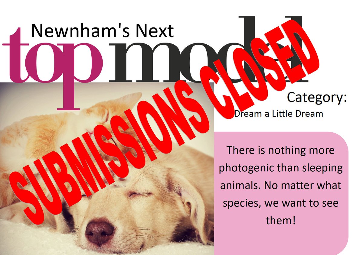 NewnhamVets's tweet photo. The 'Dream a little Dream' category is now closed for submissions. Keep an eye out for voting instructions on Monday!

#newnhamsnexttopmodel #dreamalittledream #newnhamcourtvets https://t.co/7uXMkEaPPd