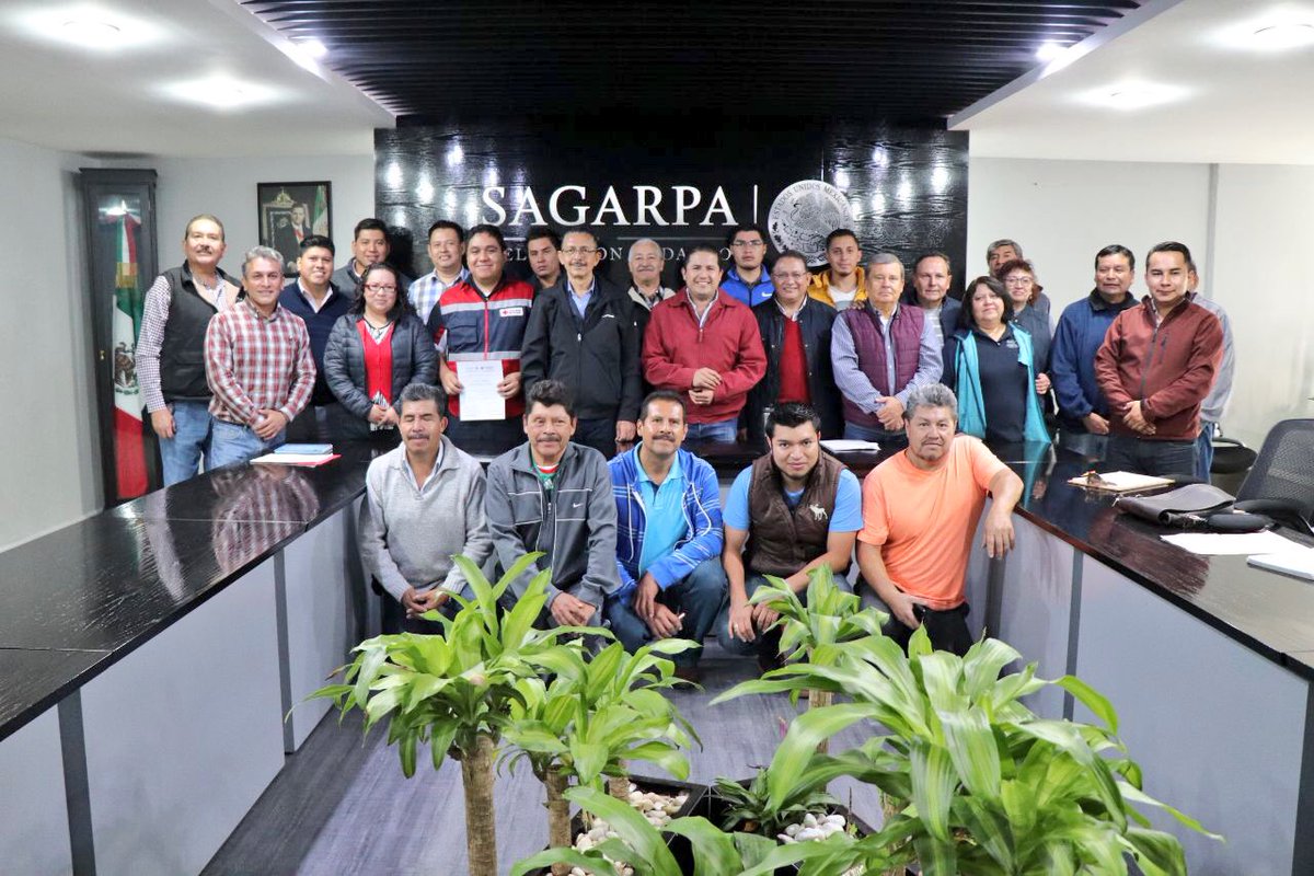 CamarilloMVZ's tweet photo. Todo un orgullo trabajar en coordinación interinstitucional con un gran amigo, el delegado de @cruzrojadelhgo @pepesaade para que personal de la delegación @SagarpaHgo que integra el Programa Nacional para el Control de la #AbejaAfricana reciba capacitación de primeros auxilios. https://t.co/ELV3RP9X0g
