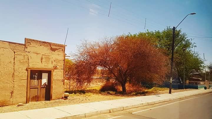Artenorte's tweet photo. Patrimonio
Historia
Olvido
#Quillagua
📸 @ronaldyavar
#NortedeChile
#ArteNorte
#BeChile https://t.co/oflGcmmP5k