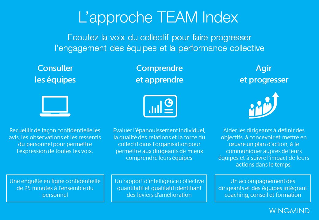wingmindgrowth's tweet photo. #teamindex. L'intelligence collective est un formidable levier de progression. Découvrez l'approche de notre solution TEAM Index (https://t.co/BuRu2E6POa) au service de l'amélioration de l'engagement des équipes et de la performance collective. https://t.co/kvoaIr6Txc