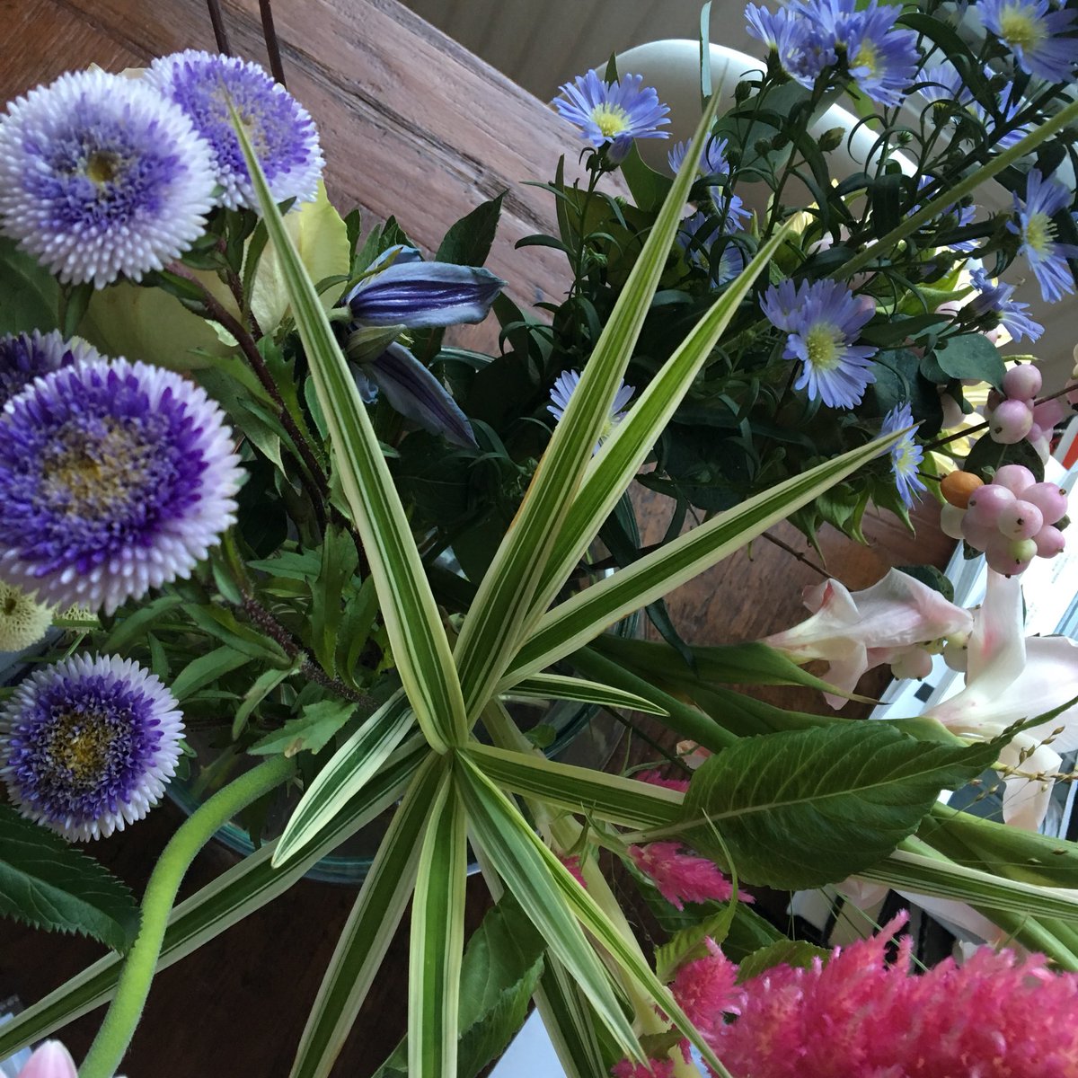 KarendeLoos's tweet photo. Vorige week eerste keer vrolijke blommen via @BloomonNL ontvangen. Staan er nu nog fris & fruitig bij. #blijmee #bloemenhoudenvanmensen #enandersom https://t.co/BiU5dyhpcz