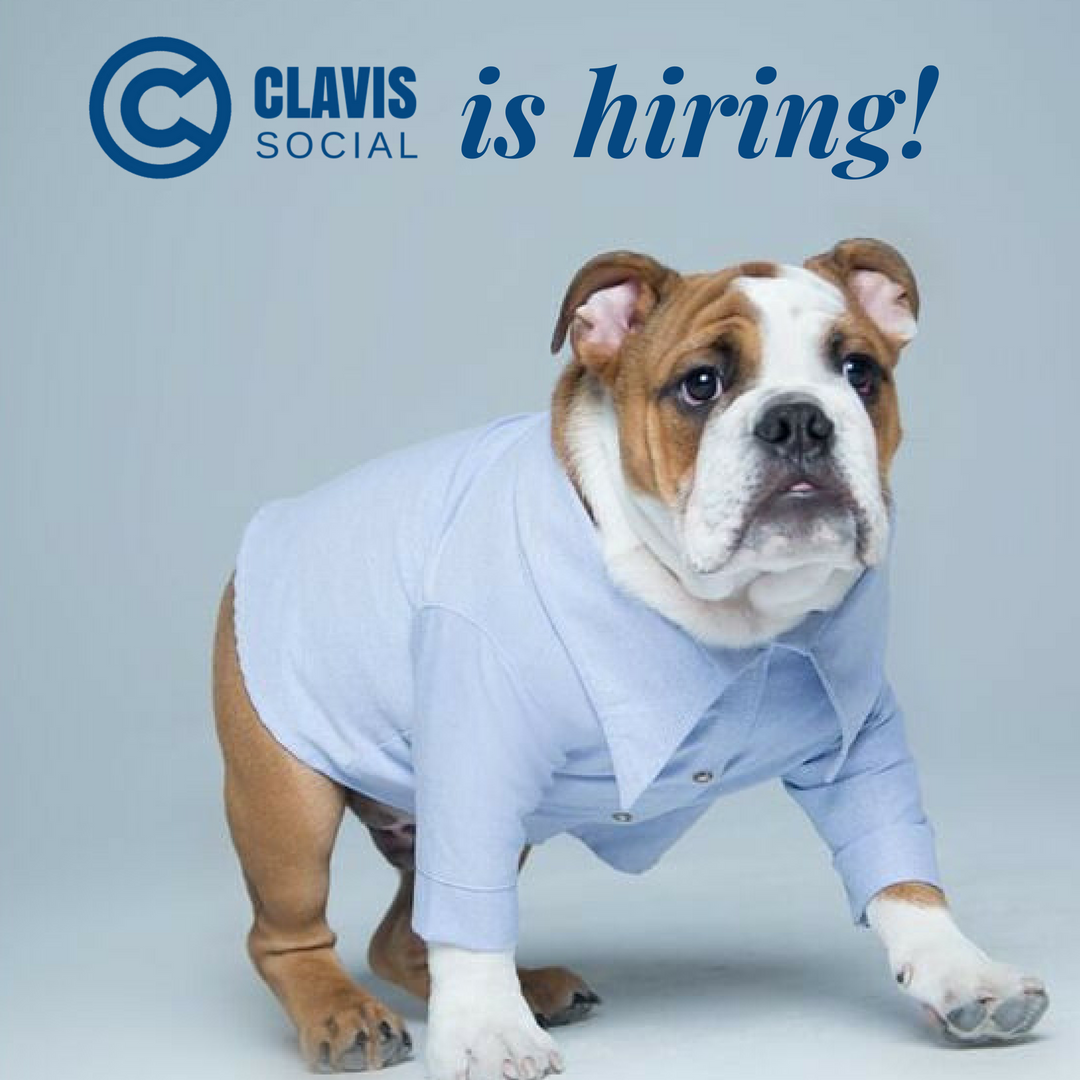 ClavisSocial's tweet photo. 🚨 WE'RE HIRING 🚨

Clavis Social is hiring a Social Media Manager. Want to join our team? Check the link below to find out all the details:

https://t.co/DknbqAex1O

#MakeSocialSimple

(feel free to tell your friends and networks!) https://t.co/i7V7btvY6m