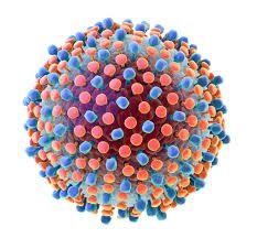 AndrologyGyn's tweet photo. Is there a True Link between #HCV and #Pathogenesis of RCC: It is estimated that approximately 3% (130-200 million) of the #world #population are infected with chronic hepatitis C.. Read at Andrology &amp; Gynecology: Current Research https://t.co/jctvKjvxkC