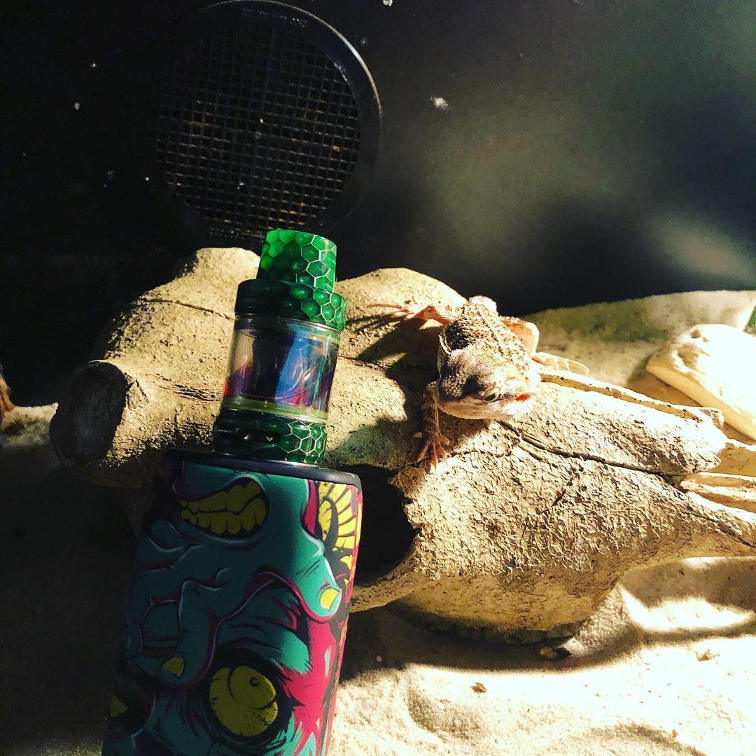 thinkvape's tweet photo. Thor Mod Devils Edition.
Amazingly sick picture by @ant.argy . 👍
💨💨😎🌾💨💨
^^^^^^^^******^^^^^^^^
#thinkvape_official #thinkvapethor #thinkvape #vape #falcontank #vapefam #vapelife #vapelikeaboss #vapeuk #vapenation #vapeporn #vapecomunity #vapers #vapersunite #vapeclouds https://t.co/RnYgJ5GEhM