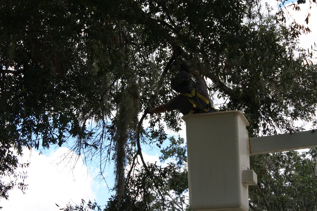 LongwoodFL's tweet photo. Big thanks to the crew from Public Works for getting a local neighborhood more accessible for emergency vehicles! Plus, that bucket looks really fun! #DamianAnson #SeanCallaghan #SpencerDaniels #DonEdmonds #DavidFernandez #MattHockenberry #PublicWorks #workingtobetterserveyou https://t.co/eEsK6sn3MD