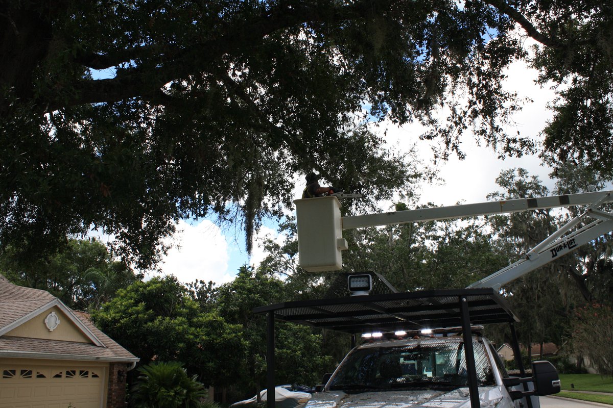 LongwoodFL's tweet photo. Big thanks to the crew from Public Works for getting a local neighborhood more accessible for emergency vehicles! Plus, that bucket looks really fun! #DamianAnson #SeanCallaghan #SpencerDaniels #DonEdmonds #DavidFernandez #MattHockenberry #PublicWorks #workingtobetterserveyou https://t.co/eEsK6sn3MD