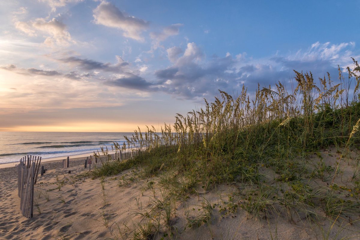 VillageRealty's tweet photo. Loggerhead Beach Access at dawn, pretty as a postcard. 
By Megan Parry Yuska
Good morning from the Village Realty People on the Outer Banks
https://t.co/nDfAsNVe55 https://t.co/NehqoySpTV