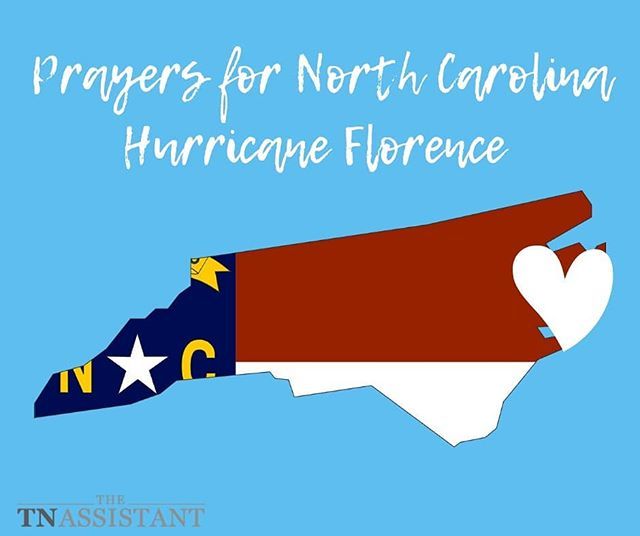 tnassistant's tweet image. 🌀🙏Born and raised in NC and as I watch the news my heart goes out to all! Many of my friends are directly affected and so MANY are coming to our area as they have been evacuated. Please extend a big TN welcome! 
#prayersfornc
#goawayflorence 
#welcometotn