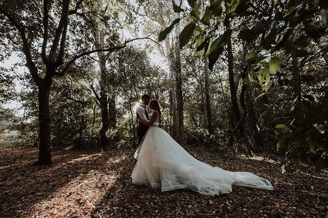 ffranciosoph's tweet photo. Many mosquitoes... but the final result is amazing.
With @semerarocarmen and @_waterico_
•
•
•
👰 #matrimonioperme #weddingdress #franciososocial #bride #weddingphotography #weddingday #weddinginspiration #weddingphotographer #weddingplanner #instawedding #theknot #bridet… https://t.co/zSEqU0OWA8