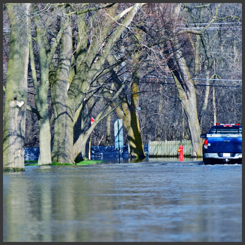 ForrestExterm's tweet image. Remember standing waters bring rodents, mosquitoes and other insects. When the rain stops be prepared to get your yard and house treated! 866-527-4610 #pestcontrol #moisturecontrol forrestexterminating.com