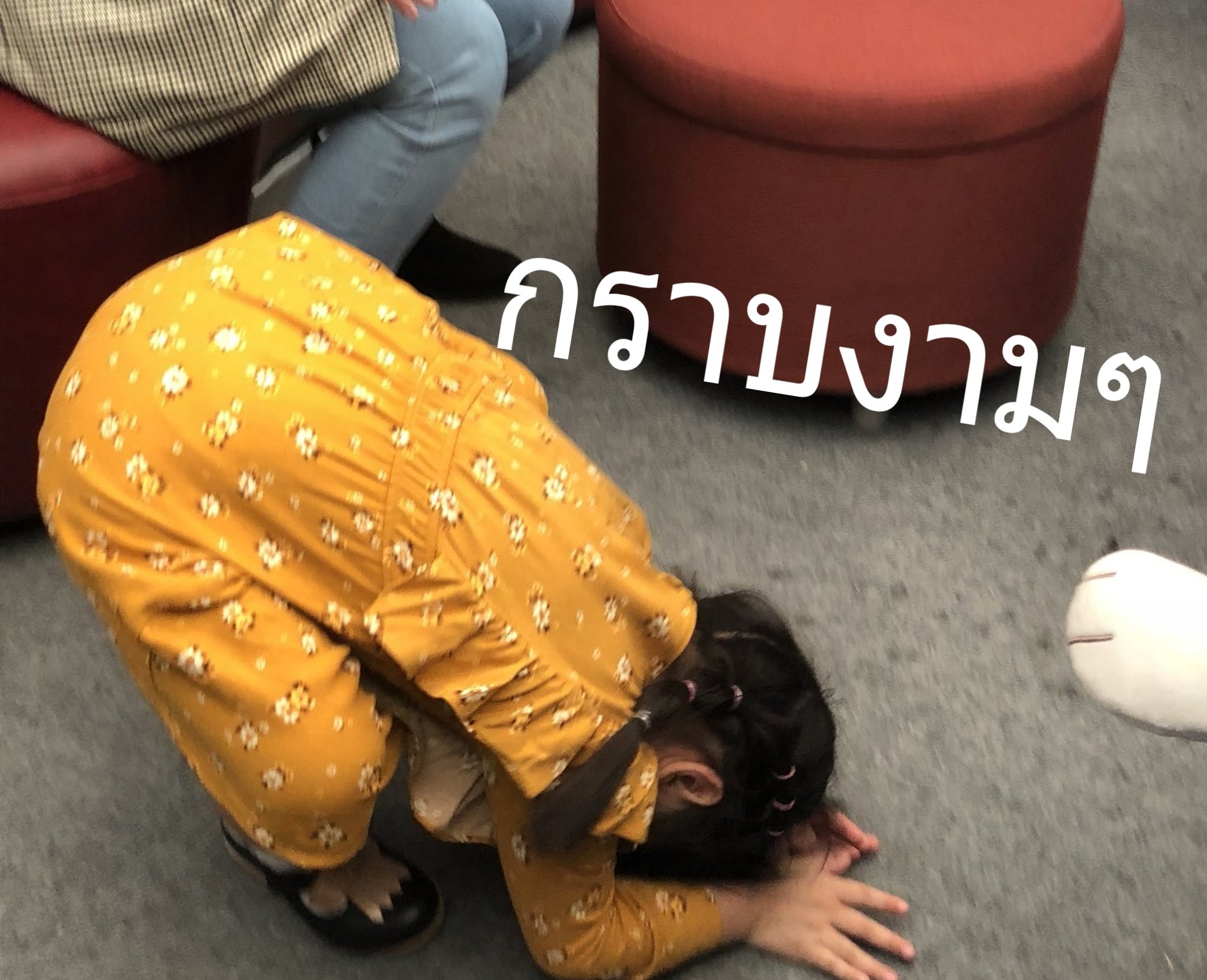 ɴᴏᴏᴋɪɪɪ ☻︎ on X: "ได้มีมใหม่ละ5555555 นว้องงงง เอ็นดู #มีม #ชูใจ  https://t.co/dgyXVvkbx8" / X