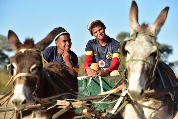 NorthernCapeSA's tweet photo. As we continue to celebrate Heritage Month in South Africa, we have these few things for you to try out during your stay in our province:
https://t.co/2t4LVVCqeL
#ExperienceNorthernCape #NorthernCapeTourism https://t.co/phhiCVFXK3