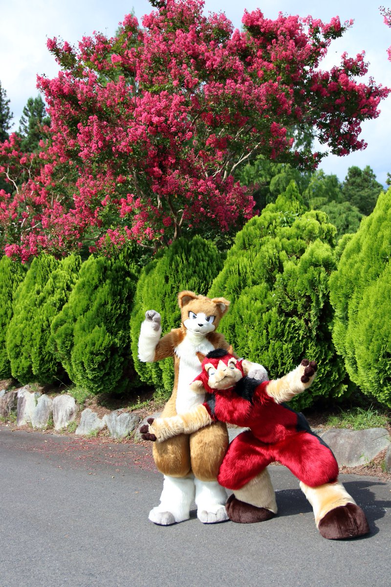 yasan_mofumofu's tweet photo. #FursuitFriday
#TDOS2018 https://t.co/7IbA052ANi