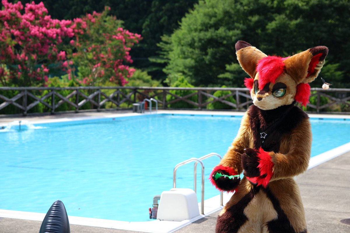 yasan_mofumofu's tweet photo. #FursuitFriday
#TDOS2018 https://t.co/7IbA052ANi