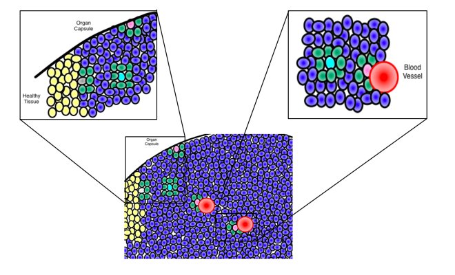 Gnomes in the Fog: The Reception of Brouwer’s Intuitionism in