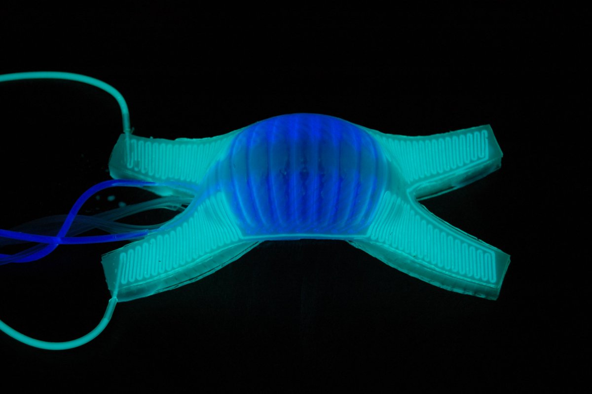 polymersciences's tweet image. polymerscience.euroscicon.com
#Harvarduniversity researchers are using #polymers to create #flexiblerobots, such as one that can move like an octopus.
#Polymerscience  #Polymersinindustries #Polymermaterialscience
#Polymerengineering #Polymernanotechnology #Polymerchemistry