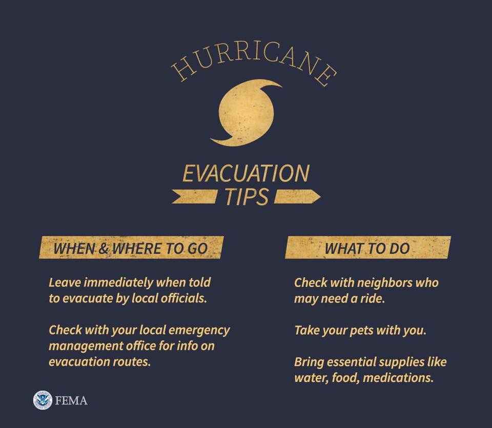 HomeZada's tweet photo. Do you know when and where to go and what to do in case of an evacuation during a hurricane? 

#hurricanelane #evacuationtips https://t.co/InVRN1OFh6